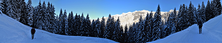 Salendo dal Piazzo di Piazzatorre lungo il segnavia 121 al Al Rif. Gremei (1550 m)